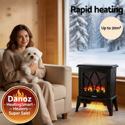 Woman holding a dog in a cozy room with a freestanding electric stove and snowy outdoor view.