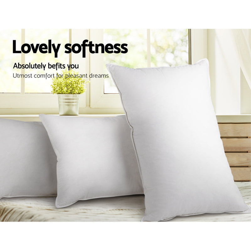 Danoz Pillows - Giselle Bedding Goose Feather Down Pillow 2 Pack super Bundle