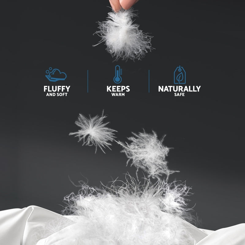 Danoz Direct - Giselle Bedding 700GSM Duck Down Feather Quilt King Size - Super Deal