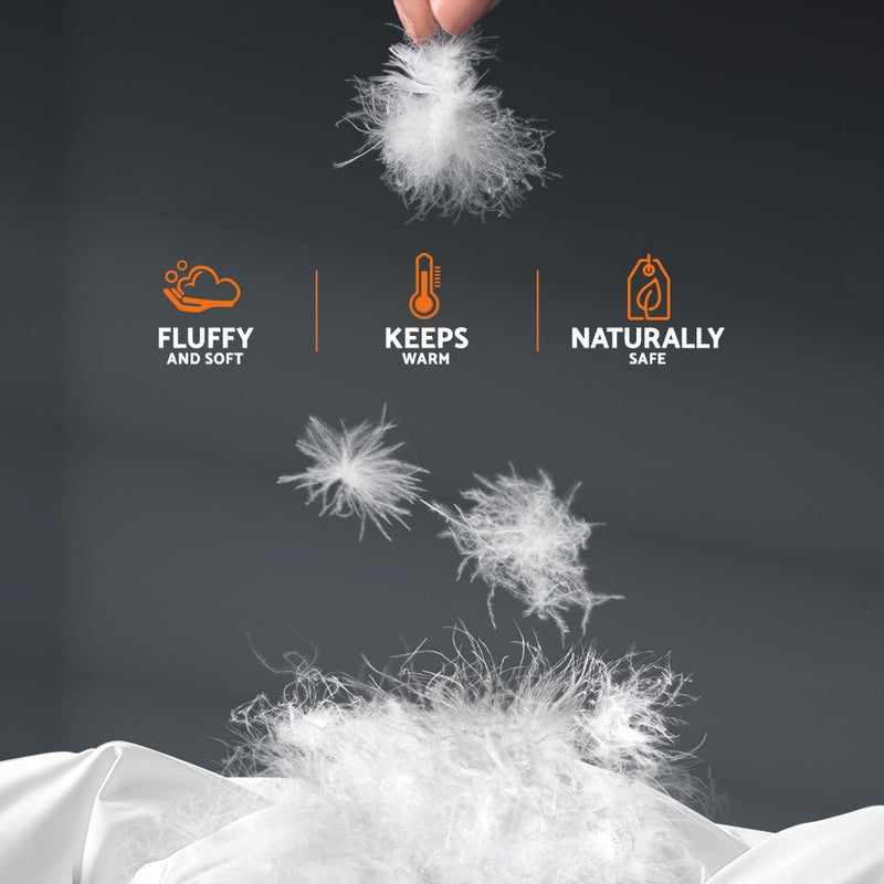 Danoz SleepSmart -Giselle Bedding 800GSM Goose Down Feather Quilt - King size - Free postage!