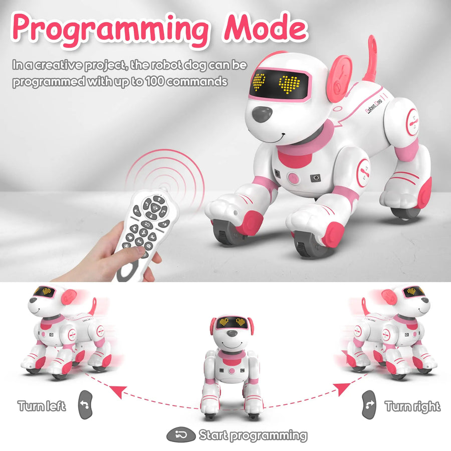 Danoz KidSmart - Intelligent Robot Dog Remote Control Electronic Sing Dance Follow Smart Interactive Stunt Music Toy Programmable Puppy Kid Gift
