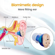 Diagram of ear anatomy with a close-up of a hearing aid labeled 'Biomimetic design'.
