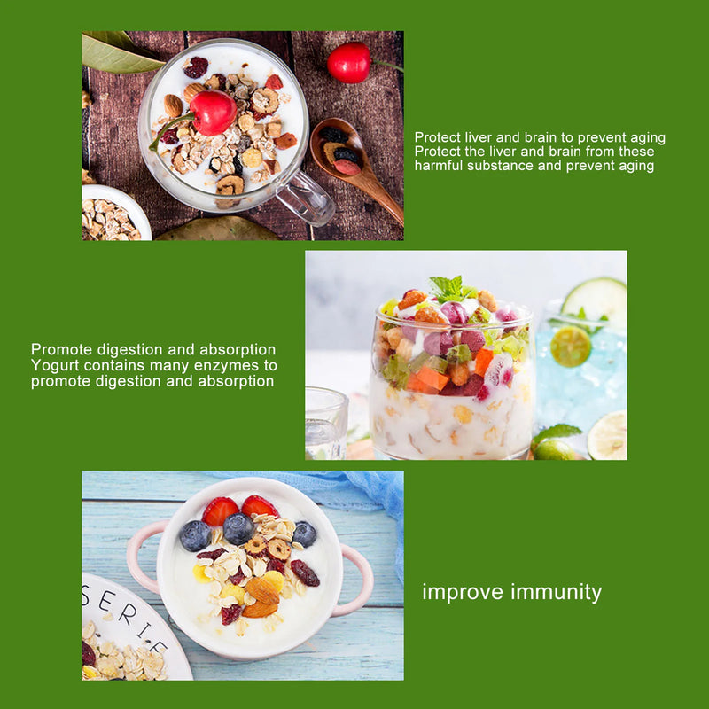 Danoz YogurtSmart - Green 15W Yogurt Machine Stainless Steel Homemade DIY Yogurt Maker Compact Electric Yogurt Maker