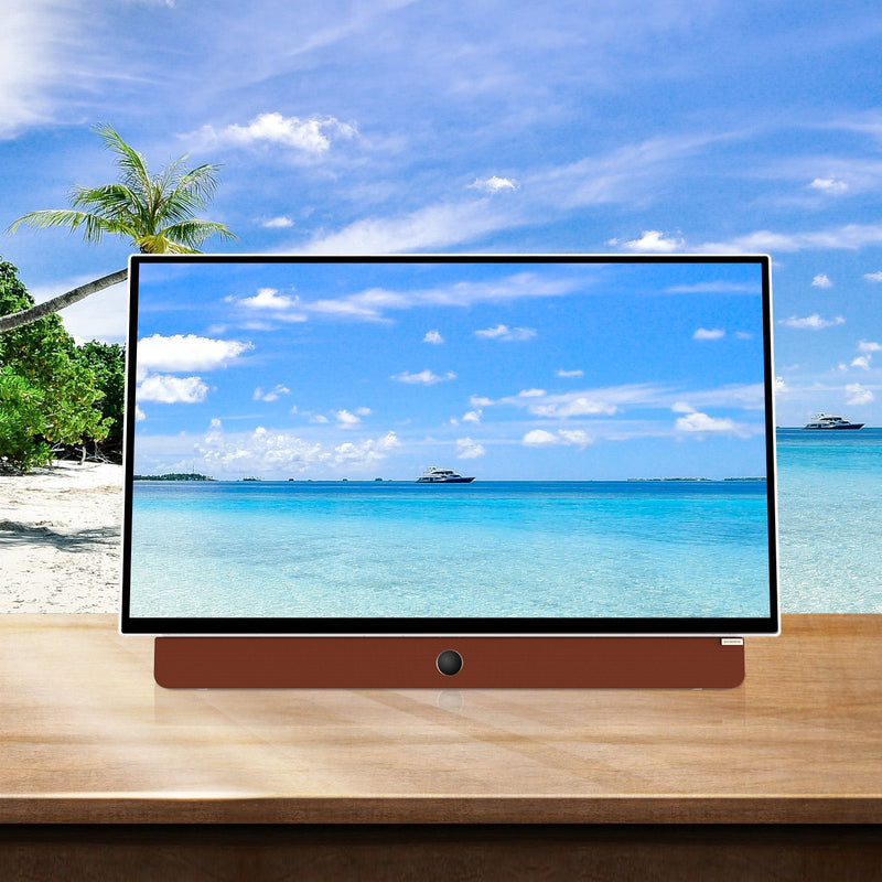 📺 Danoz TVSmart | SKYWORTH 24P100 24" Portable Smart Google TV | Built-In Battery 3+ Hrs | 1080P FHD | Dolby Audio | Google Assistant | Chromecast