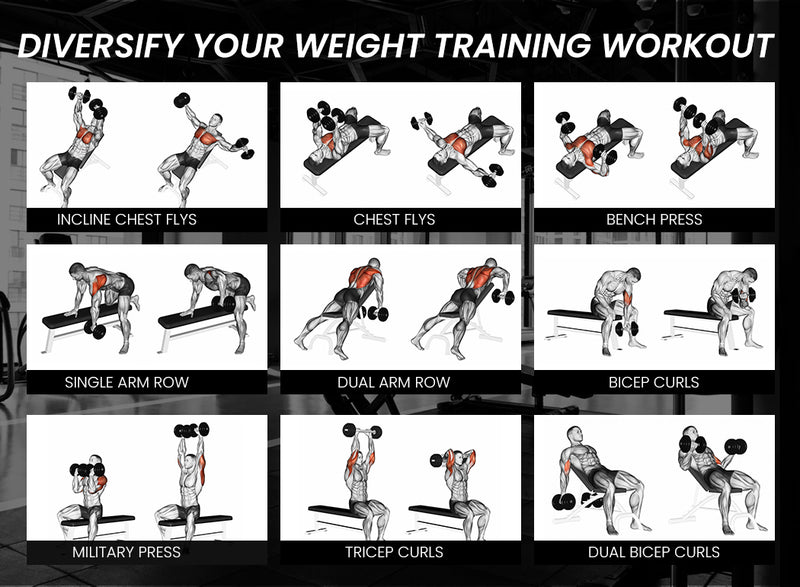 Danoz Direct - PROFLEX Weight Bench Workout Gym Press Adjustable Lifting Fitness Folding Bands