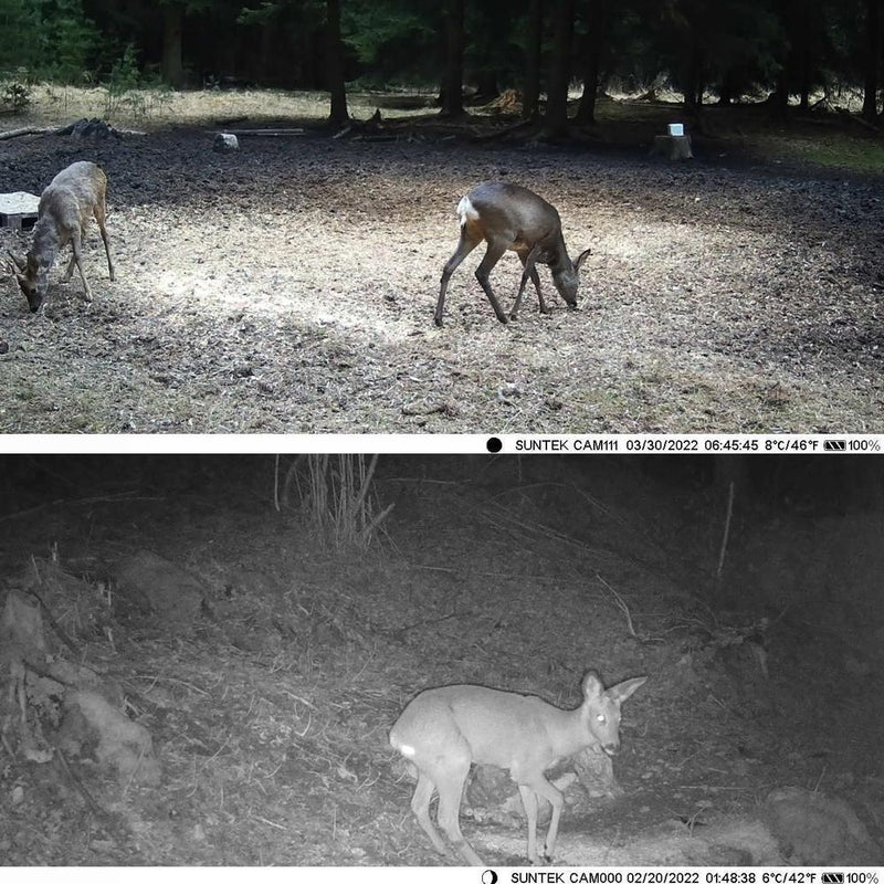 Danoz Outdoors - Wireless Bluetooth Control Camera with Infrared Tracking and Wifi Connectivity