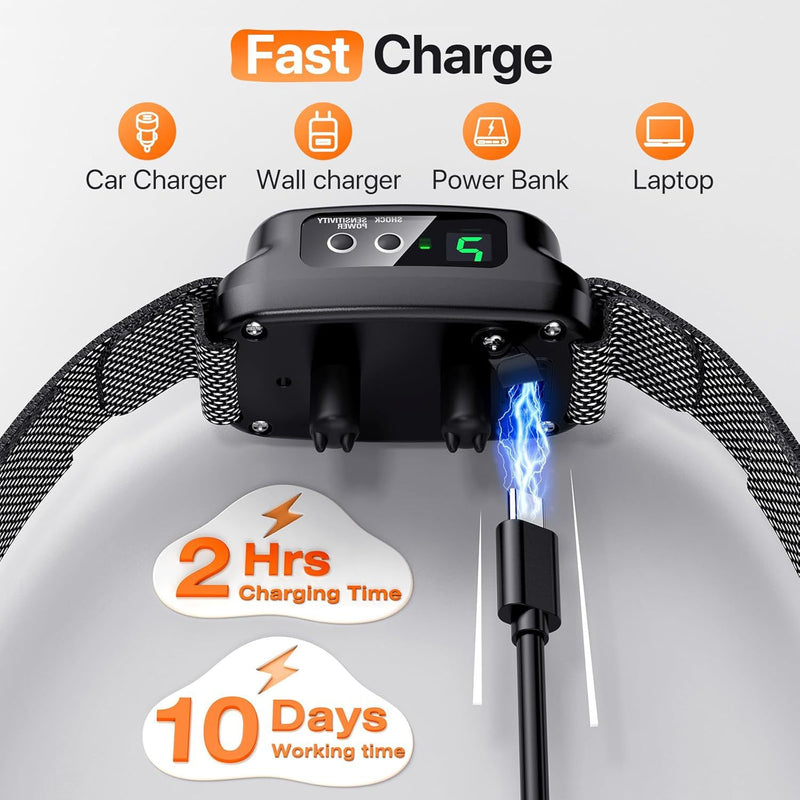 Danoz Direct - Waterproofing USB Rechargeable Smart Color Screen Anti-Bark Collar - Vibration Dog Training Collar