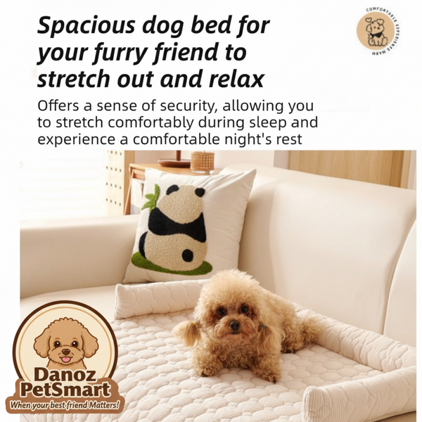 Dog lying on a spacious dog bed with text describing its benefits