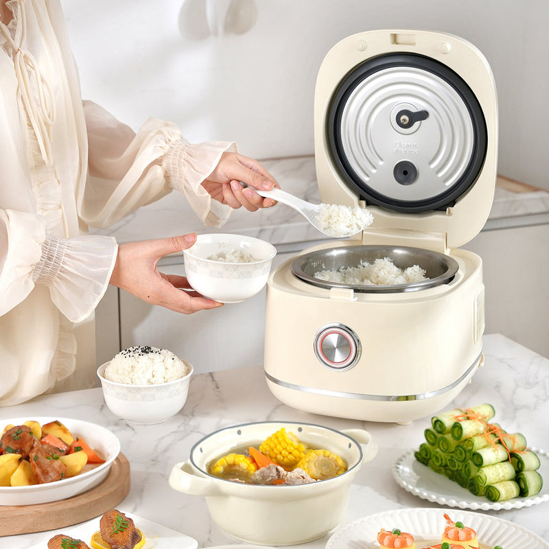 Danoz Kitchen - Hoper Layer 3L Portable Non-stick Rice Maker Smart Control Rice Cooker