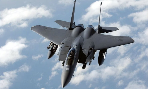 Christmas gift F - 15 Eagle Fighter Jet Building Blocks Set, 223 Pieces Military Aircraft Model Kit for Kids & Enthusiasts（F15 fighter） - danozdirect