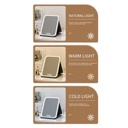Danoz Beauty - Black Large Foldable LED Makeup Mirror - Portable Desktop Vanity with 3 Color Lights, Stepless Dimming & Adjustable Stand - danozdirect