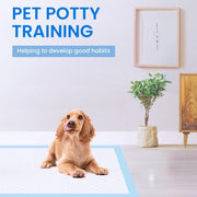 Danoz Direct - 50pcs Pet Training Pads Puppy Toilet Dog Pee Indoor 60x90cm Super Absorbent - danozdirect