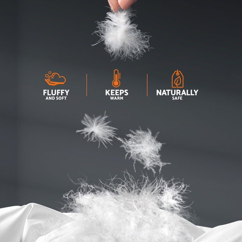 Danoz Direct - Giselle Bedding 700GSM Goose Down Feather Quilt King - danozdirect