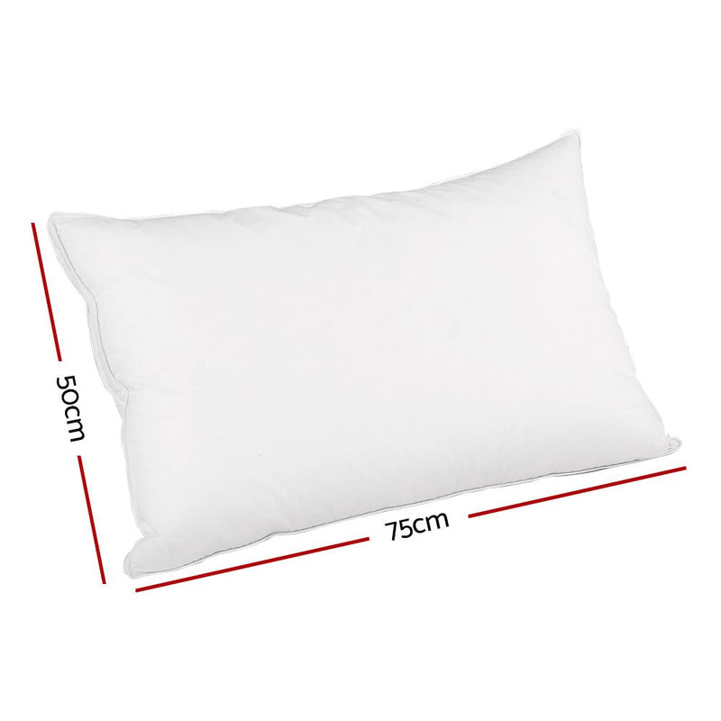 Danoz Direct - Giselle Bedding Goose Feather Down Pillow Luxury - Buy One Get One More - danozdirect