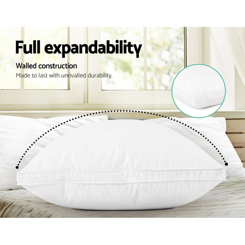 Danoz Direct - Giselle Bedding Goose Feather Down Pillow Luxury - Buy One Get One More - danozdirect