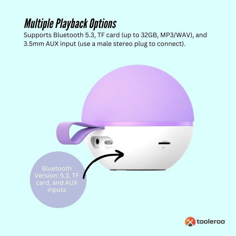 Danoz Direct - Mini Karaoke Machine - 2x Wireless Microphones Portable Bluetooth Speaker Purple - danozdirect