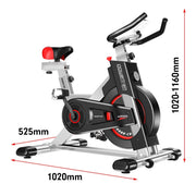 Danoz Fitness - Powertrain IS - 500 Heavy - Duty Exercise Spin Bike Electroplated - Silver - Inc. Delivery - danozdirect