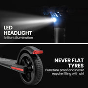Danoz Scooters - ALPHA Peak 300W 10Ah Electric Scooter, Suspension, for Adults or Teens, Black - danozdirect