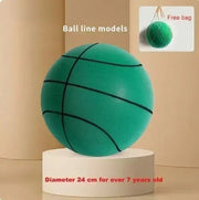 Danoz Sports - SilentBounch - Indoor Silent Basketball, High Density Foam Material Kida & Adults Ball - Free Carry Net - danozdirect