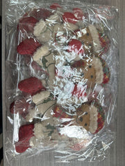 Danoz Xmas🎅 12pcs Dancing pendant bear for Christmas tree - danozdirect