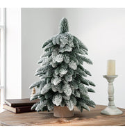 Danoz Xmas🎅 55cm Frosted Mini Christmas Tree – Snow - Covered Indoor Holiday Decoration - danozdirect