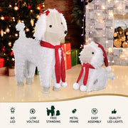 Danoz Xmas - Jingle Jollys Christmas Lights 60 LED Fairy Light 2pcs Dog Decorations Set - danozdirect