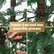 Danoz Xmas - Jingle Jollys Christmas Tree 1.5M LED Xmas Tree Sparse 263 Tips Party Decoration - danozdirect