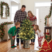 Family admiring the compact potted Christmas tree