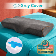 PillowSmart grey cover colourful view