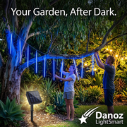 Couple installing blue solar lights in a leafy garden