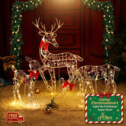 Deer hero playful Christmas Danoz gift tag badge