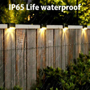 Light up your outdoor space with Danoz Direct Exclusive Solar LED Lights! With 4/8/12/16 piece Bundles - danozdirect