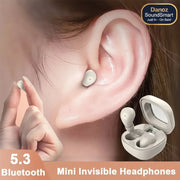 Mini Invisible ear buds 