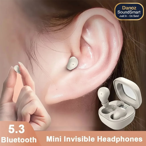 Mini Invisible ear buds 