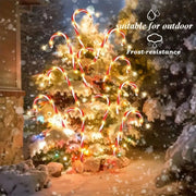 Transform your garden into a festive wonderland with Danoz charming 8 - piece solar - powered cane light set - danozdirect