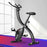 Everfit Folding Exercise Bike Magnetic X-Bike Bicycle Indoor Cycling Cardio