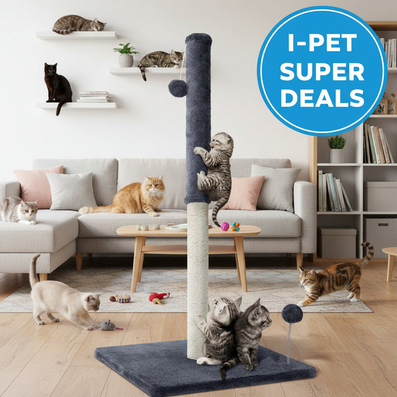 Danoz Direct - i.Pet Cat😻 Tree 105cm Scratching Post Scratcher Tower Condo House Hanging toys Grey