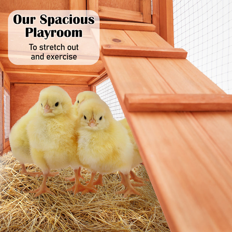 Danoz Direct - Paw Mate 204 x 45 x 85cm Rabbit Hutch Chicken Coop 2 Storey Large Cage Run