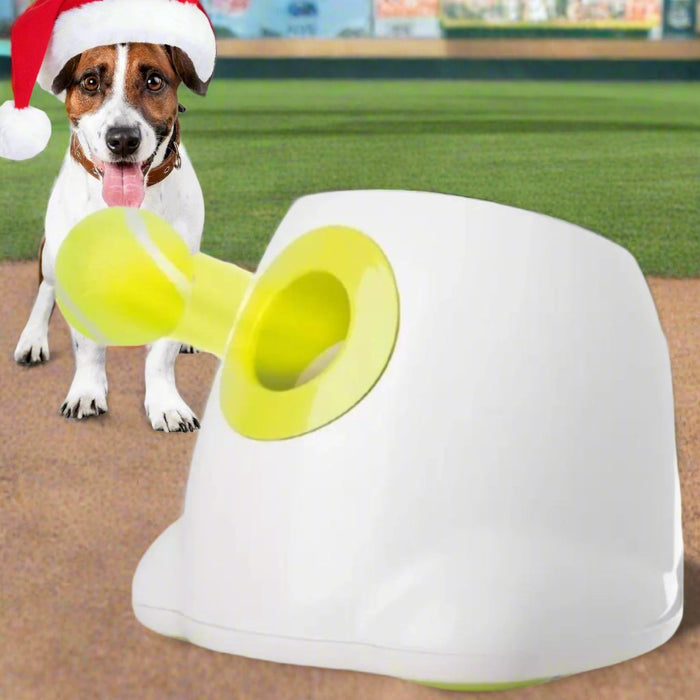 Danoz Direct - Automatic Ball Launcher Throwing Machine Dog Toys Interactive Tennis Pet 6Balls