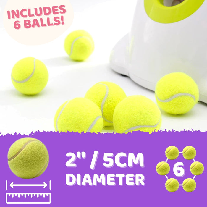 Danoz Direct - Automatic Ball Launcher Throwing Machine Dog Toys Interactive Tennis Pet 6Balls