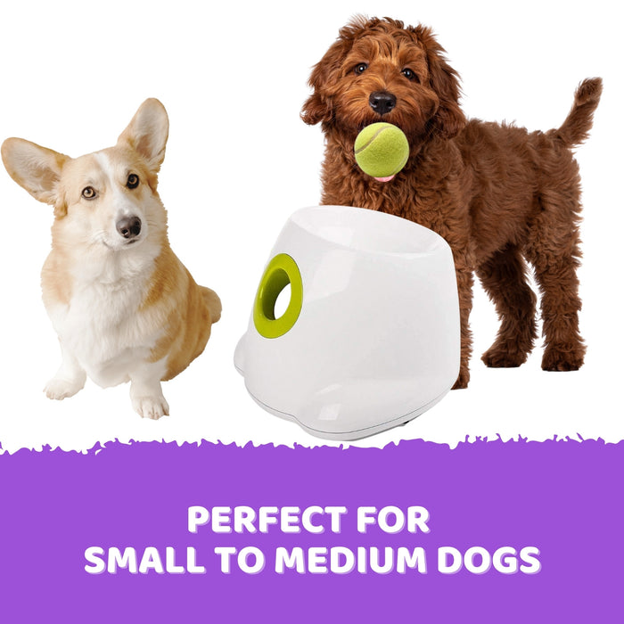 Danoz Direct - Automatic Ball Launcher Throwing Machine Dog🐶 Toys Interactive Tennis Pet 6Balls