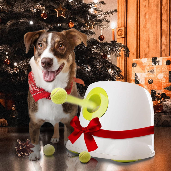 Danoz Direct - Automatic Ball Launcher Throwing Machine Dog Toys Interactive Tennis Pet 6Balls