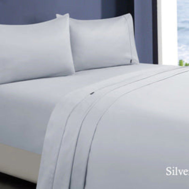 Danoz Direct -  1000tc egyptian cotton sheet set 1 double silver